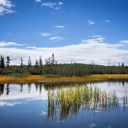 לינה וארוחת בוקר Vierthaler 3*