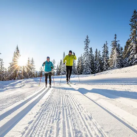 לינה וארוחת בוקר Vierthaler