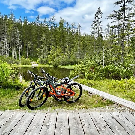 לינה וארוחת בוקר Vierthaler פילצמוס