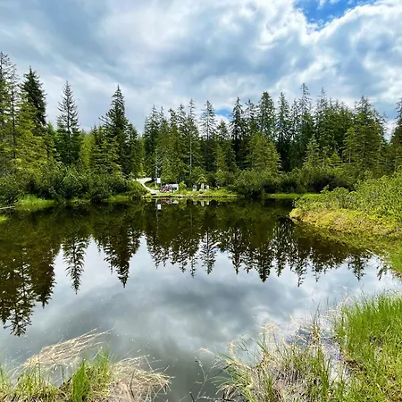 לינה וארוחת בוקר Vierthaler 3*