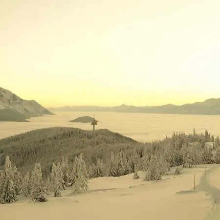 לינה וארוחת בוקר Vierthaler