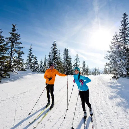 לינה וארוחת בוקר Vierthaler
